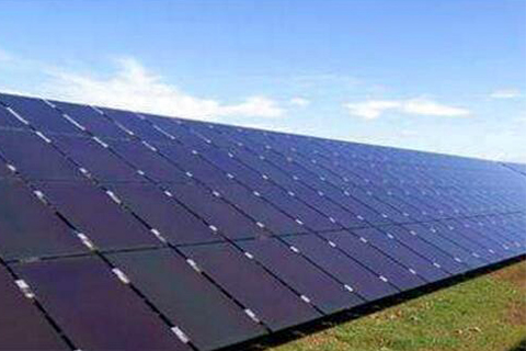 애완 동물은 가수 분해에 내성이 있습니까?